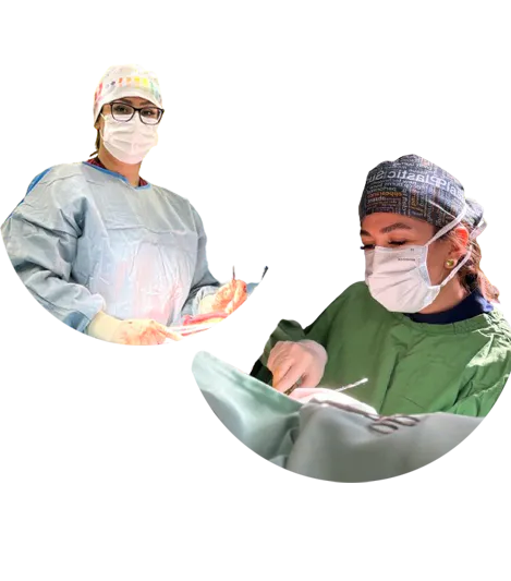 Gynecological cosmetic surgeries