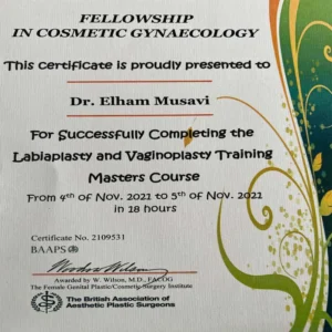 fellowship cosmetic gynaecology dr elham musavi